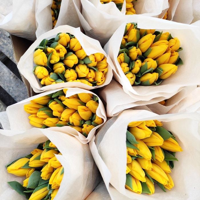 Тюльпаны по 750 тг