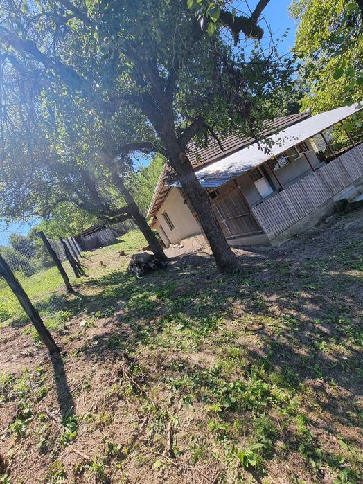 Vând casă + teren la pret de garsonieră