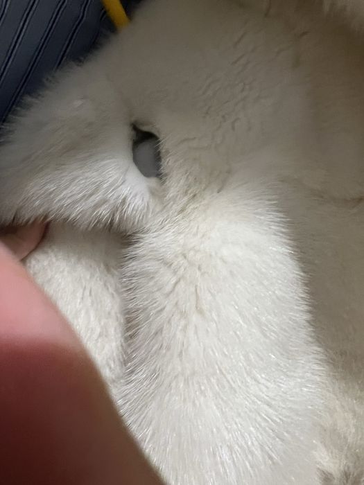 Шуба норковая б/у