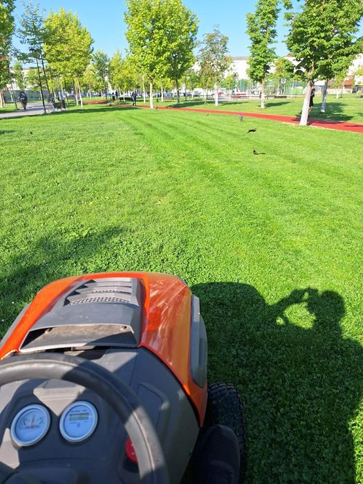 Oferim servicii complete pentru curte și grădină la prețuri avantajoase!