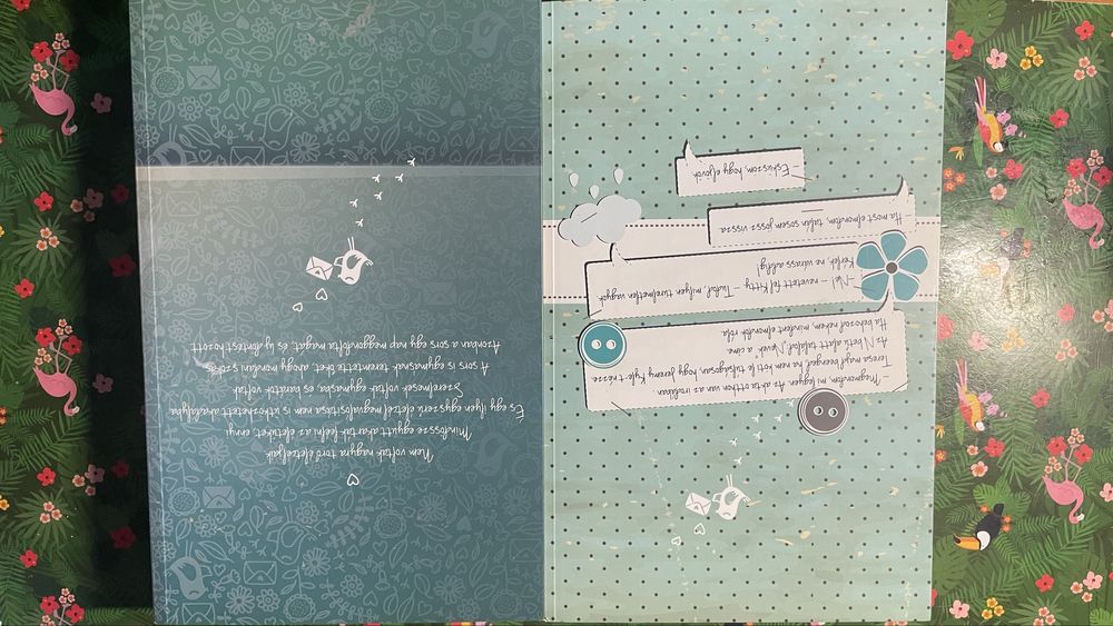 Cecelia Aherin regénye