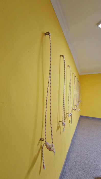 Аренда зала 30 кв м