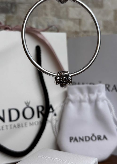 Пандора талисман - Лейди и скитника - Лейди