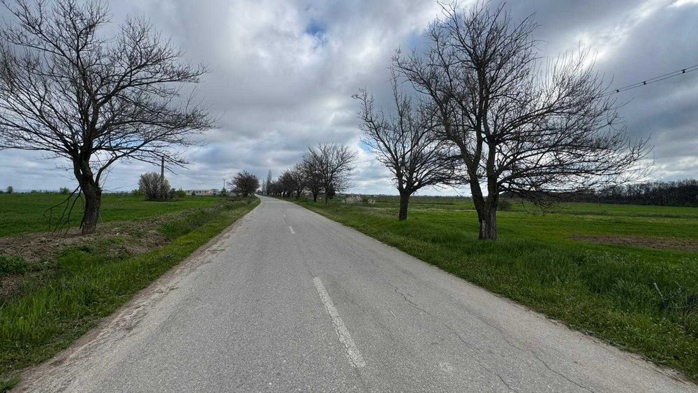 Teren Intravilan langa padure - zona linistita, perfect pentru casa!