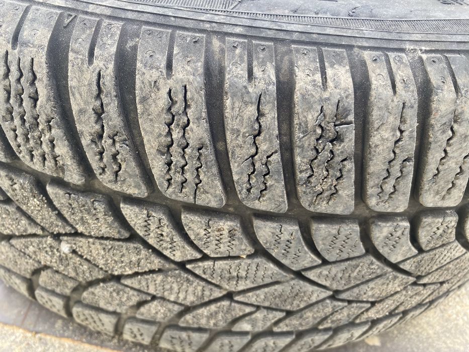 Гумите са карани един сезон