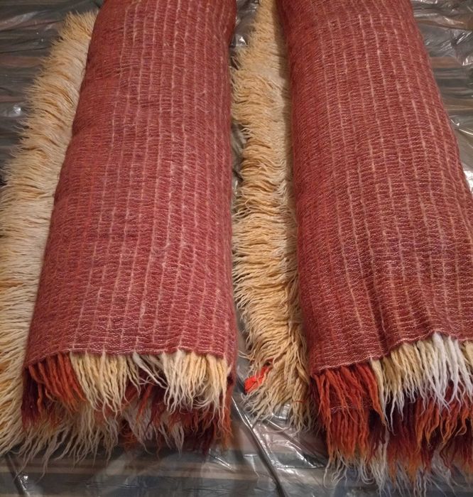 Халища ( губери )