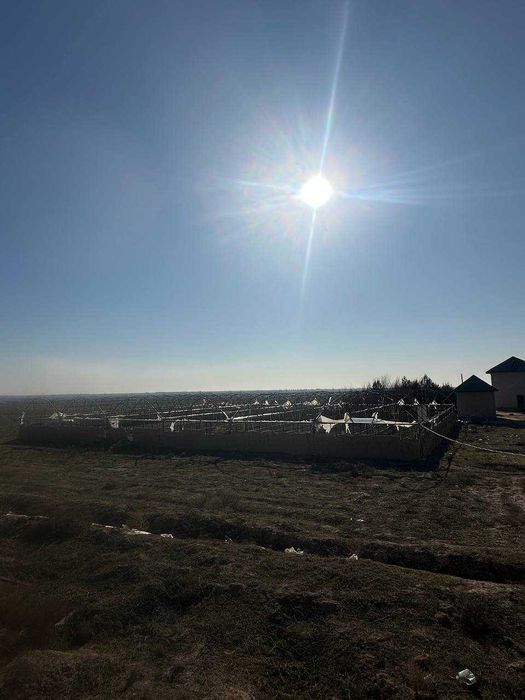 Бизнес учун таййор дача сотилади