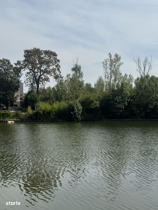 Teren Mogosoaia Lac