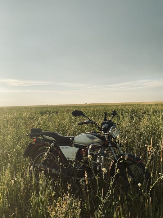 В продаже Альфа Gs 110