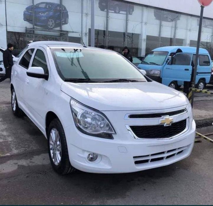 Cobalt LTZ 2025 | salondan !