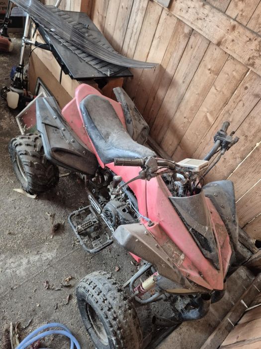 Atv 250 cm nu o mai fost folosit de cativa ani necesita o revizie