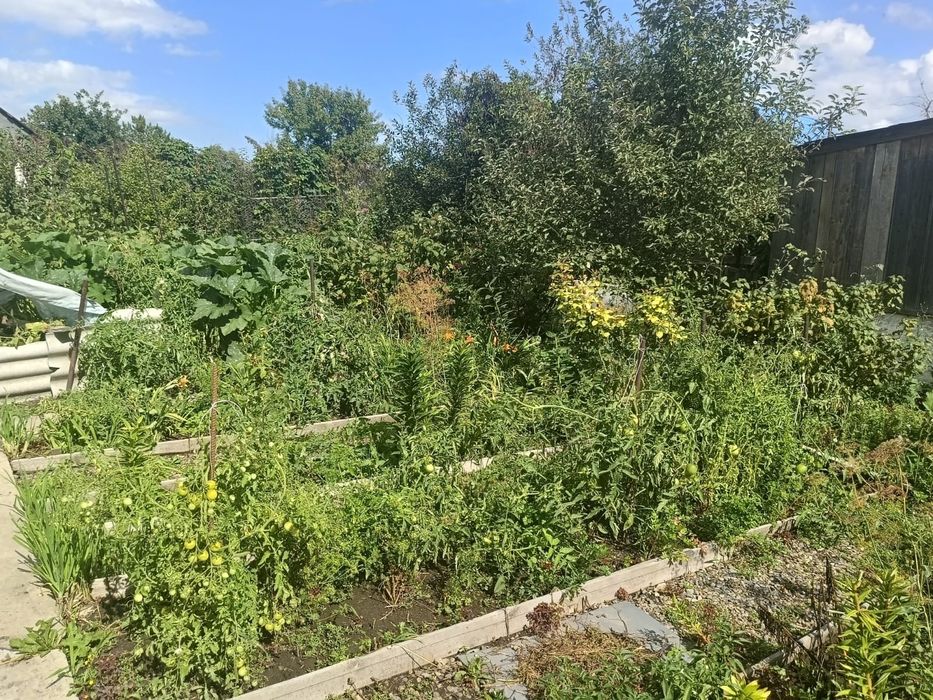 Продам дачу зимний вариант