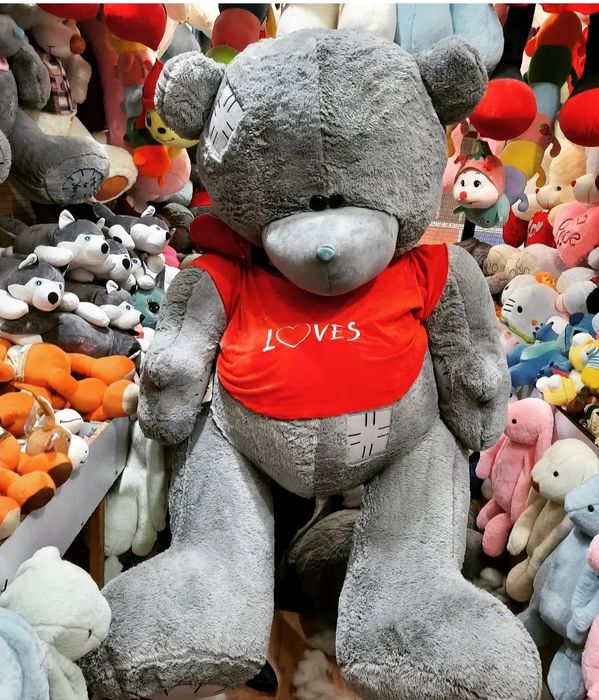 Teddy Teddi 75,80,90,120,150,170 Sotuvda