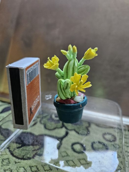 Кактусы сувенирные