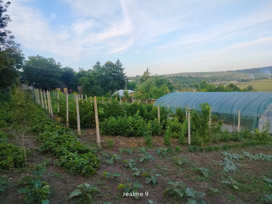 Teren intravilan în loc. Buznea