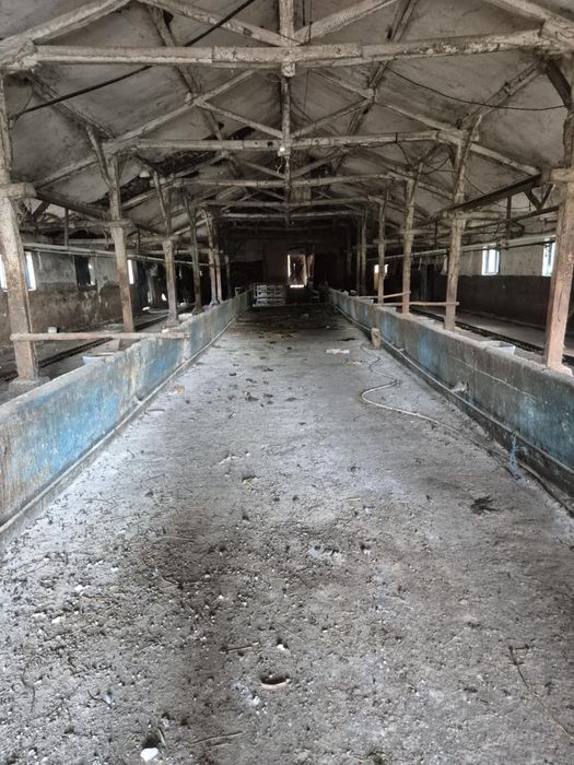 Кравеферма  със оборудване