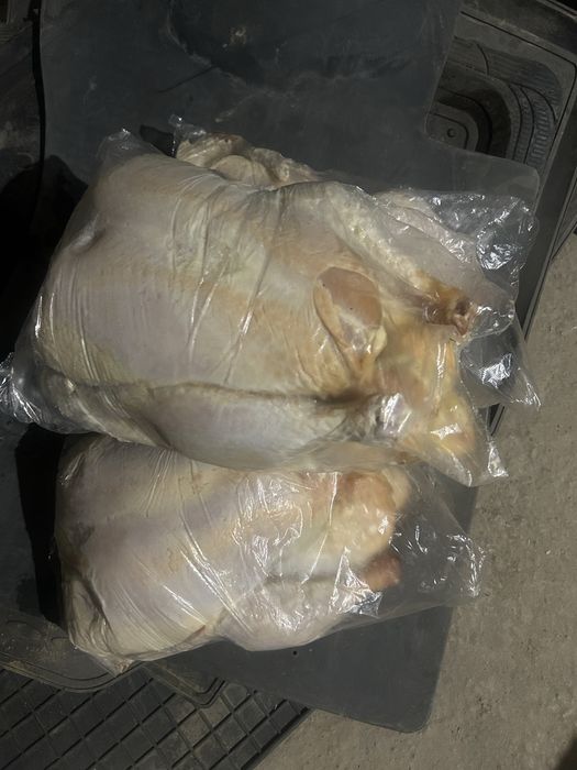 Корм для собак и кошек