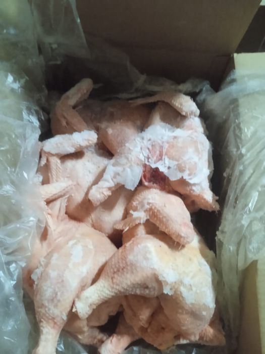 Куры бройлер, маточные