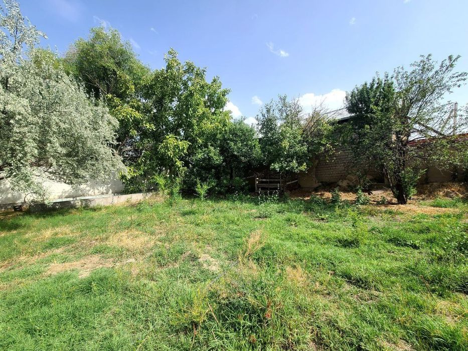 Томарка буш жой йер хисобида