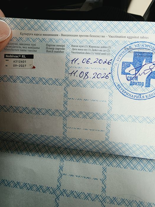 Продам САО щенка девочка