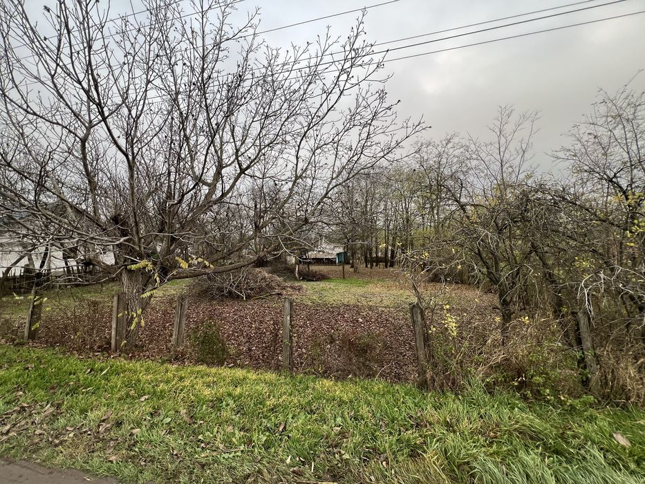 Vanzare teren intravilan 1270 MP in Sarata - Mihalaseni