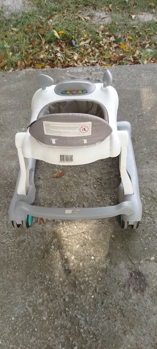 Проходилка пееща