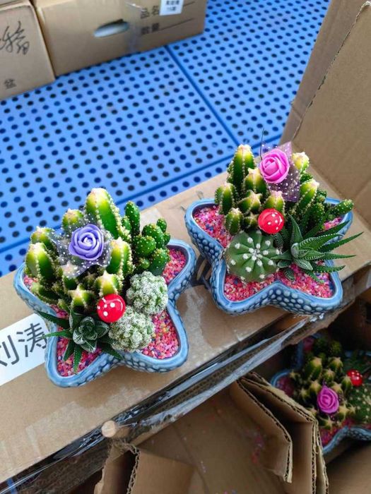 Гуллар сотилади, оптом нархларда.