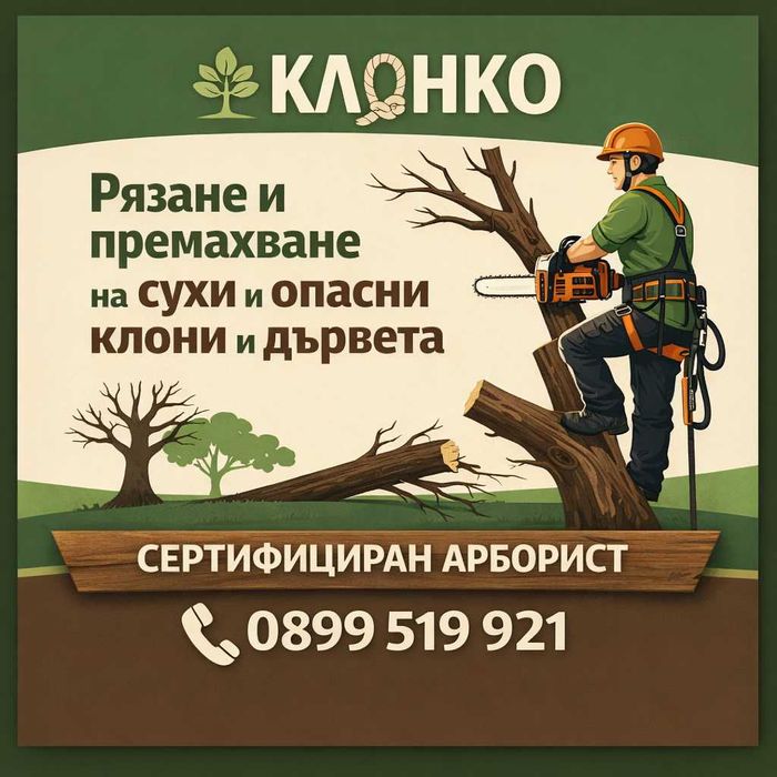 Премахване на опасни клони и дървета | Резитба | Грижа за дърветата