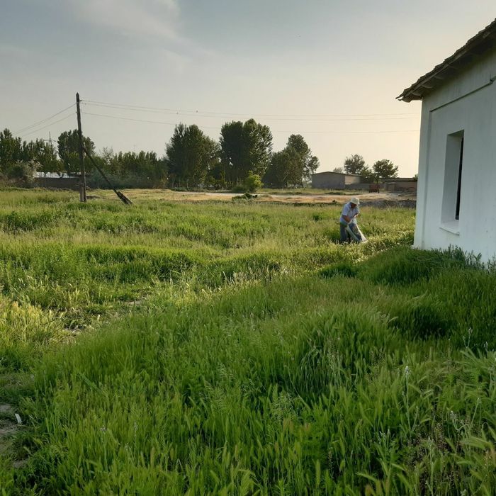 Куйичирчикда ховли сотилади