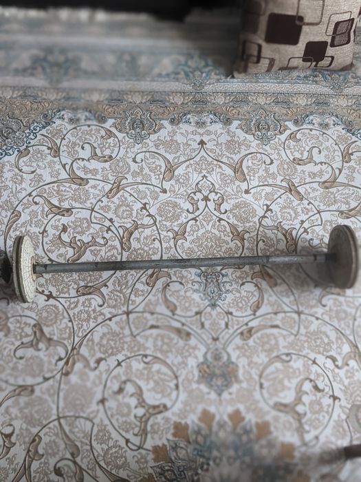 Штанга спорт блины