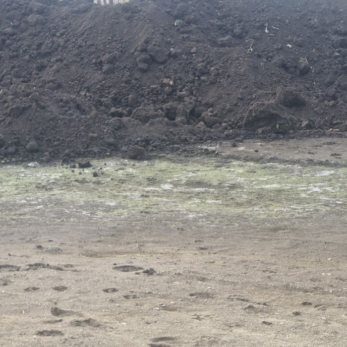 Vand pamant de gazon