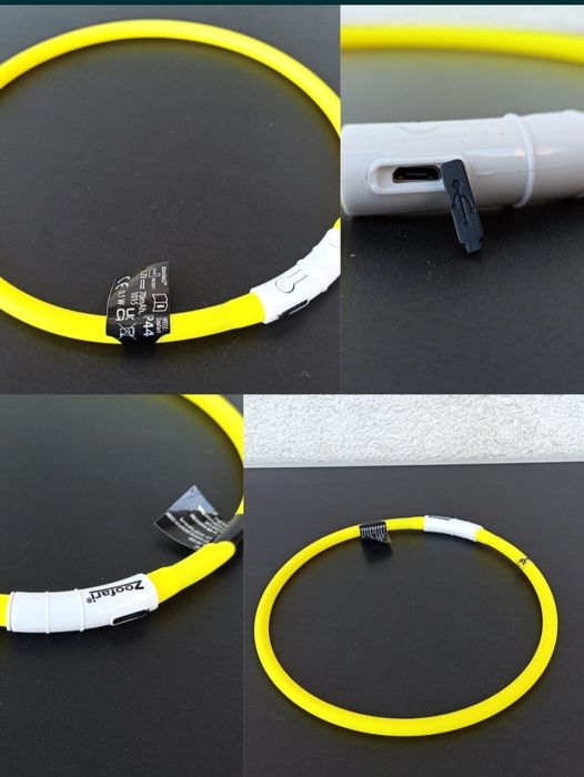 zgarda caine catel pisica pisic ham lesa la plimbare