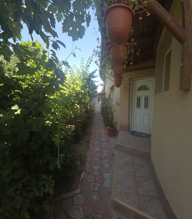 Casa Otopeni 23 august - More