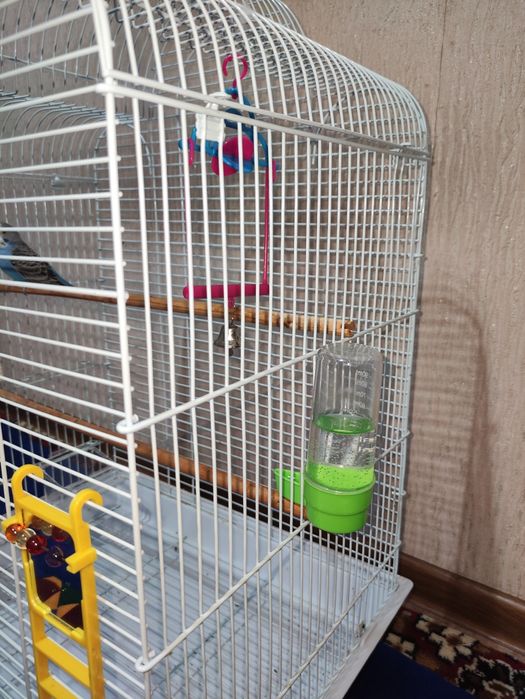 Клетка для птиц.