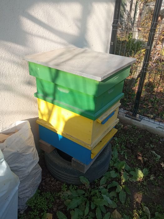 Пчелни кошери с магазини