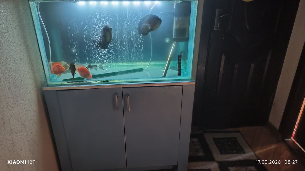 Аквариум с рыбками