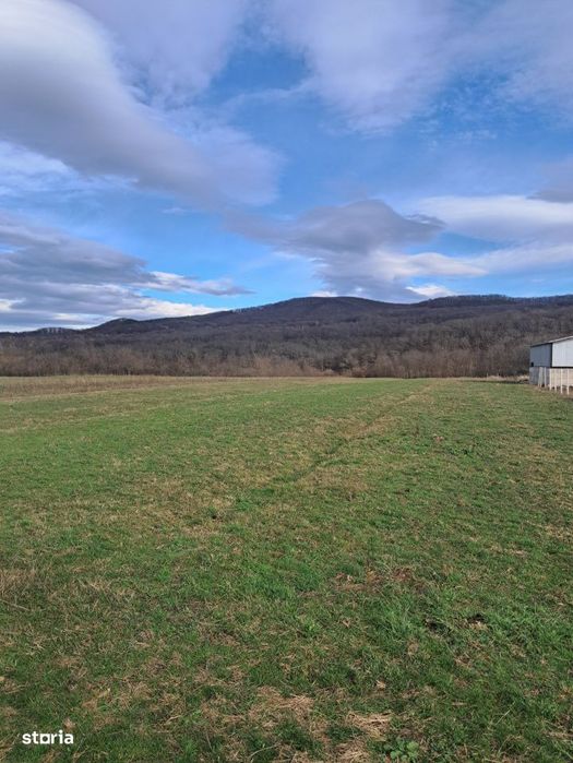 Teren extravilan de vanzare – 500 mp – Talmaciu, zona apropiata de