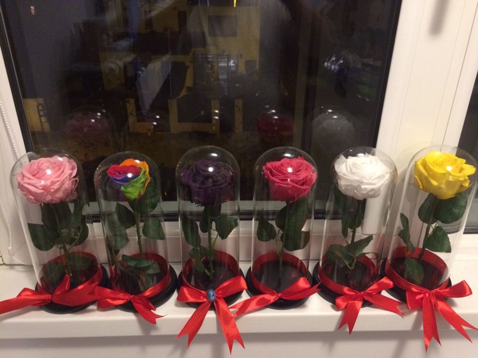 Trandafir criogenati conservati cadou