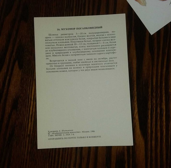 Комплект открыток