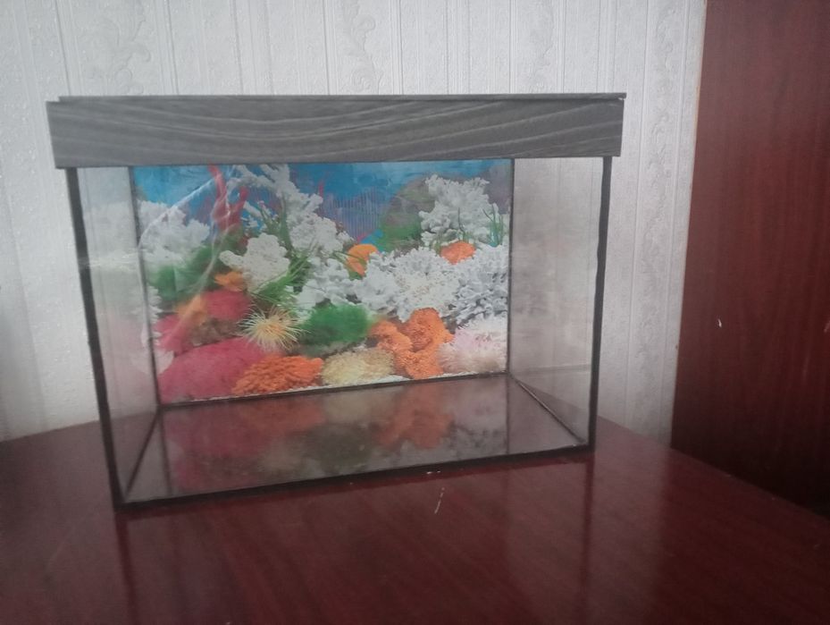 Продам аквариум 20 литров.