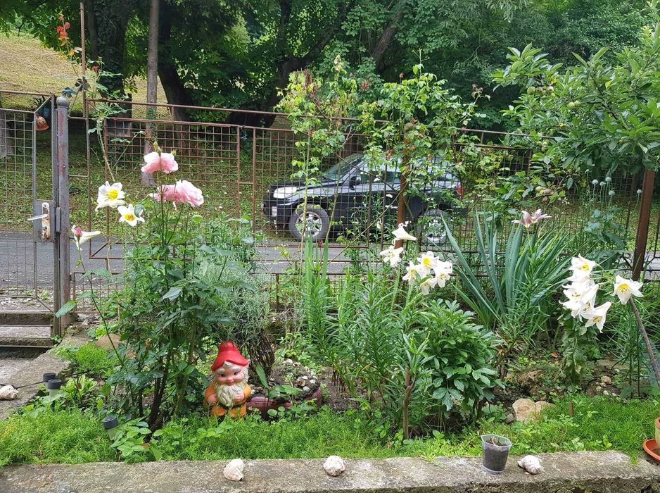 Продава се Къща в с. Бели Осъм, Област Ловеч - 280 кв.м за 251 €/кв.м - Снимка #21