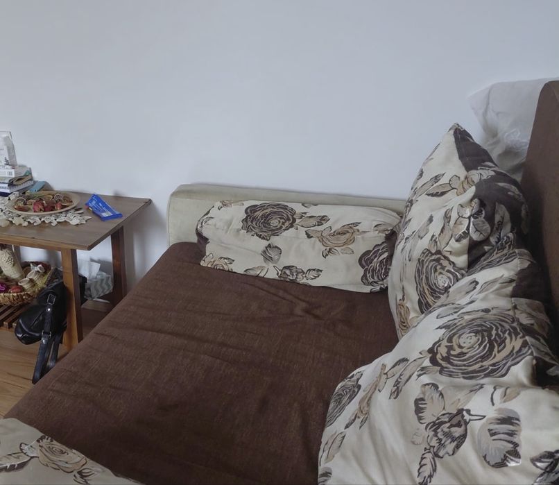 Canapea extensibilă  în stare foate bună