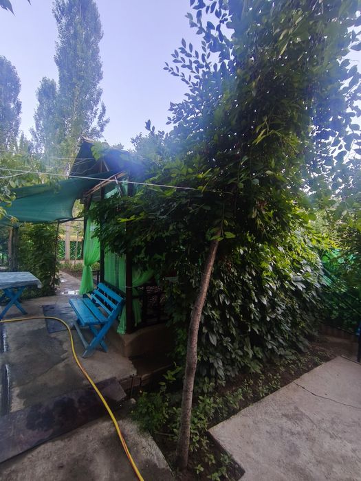 #Humsonda Dacha N1