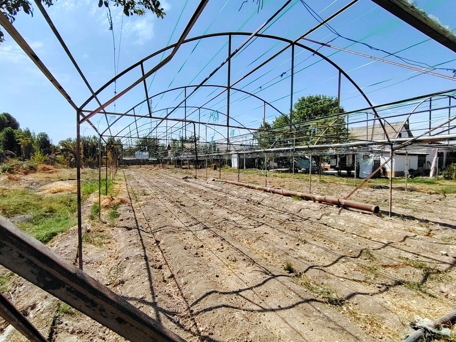 Teplitsa sotiladi 5 sotix