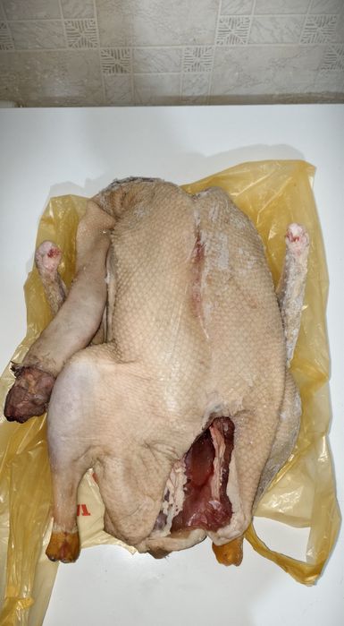 Продается тушки домашних гусей