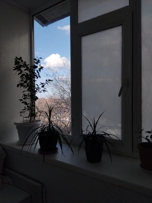 Продам 1 комнатную квартиру