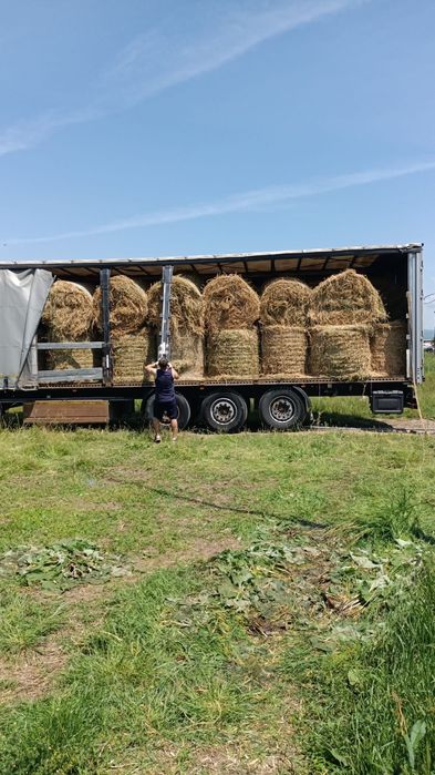 Baloti fan sau lucerna Rotunzi 40.Drept.500;Pomi Aluni Nuc.Castan.Afin