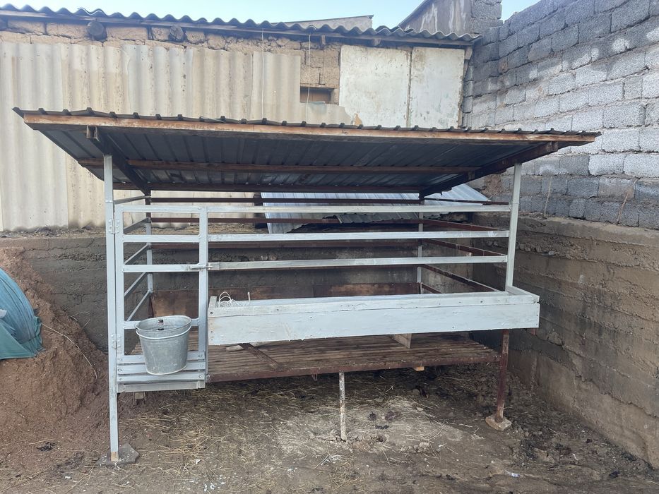 Кой кора Кошкар кора