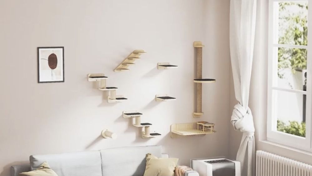 Set rafturi pentru pisică