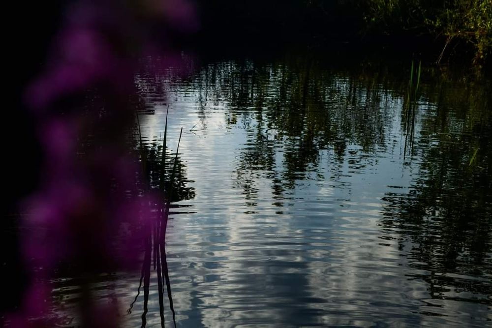 Casa Cri în inima naturii